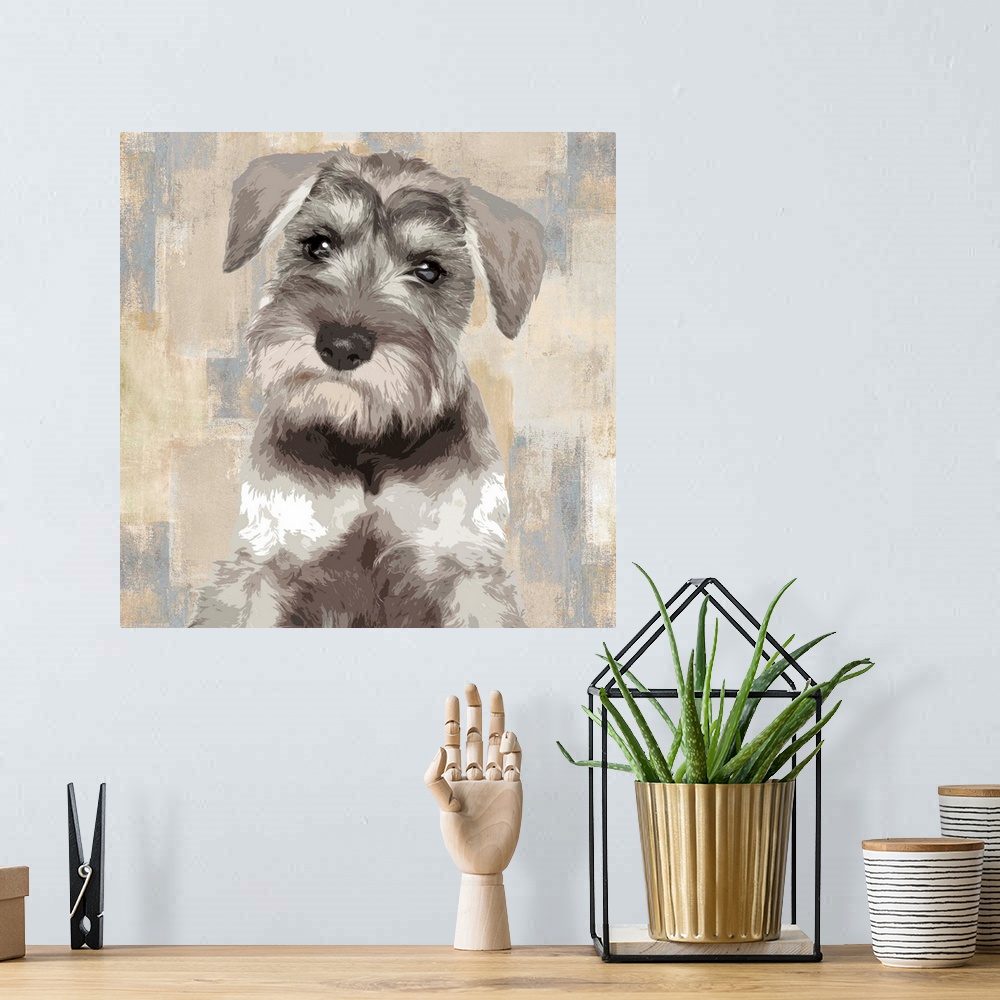 A bohemian room featuring Square decor with a portrait of a Miniature Schnauzer on a layered gray, blue, and tan background.