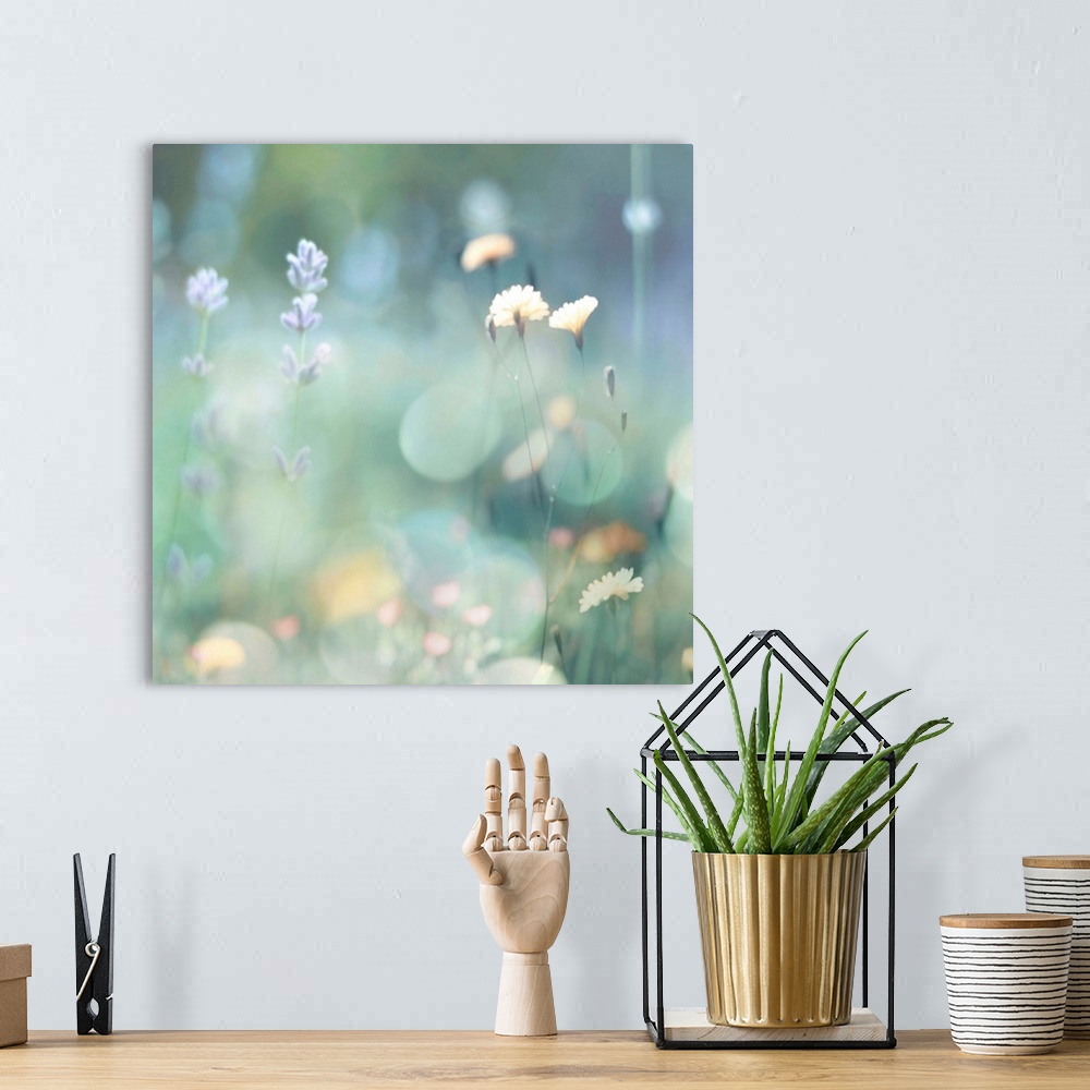 A bohemian room featuring Square photograph of wildflowers in pastel colors with a bokeh effect.