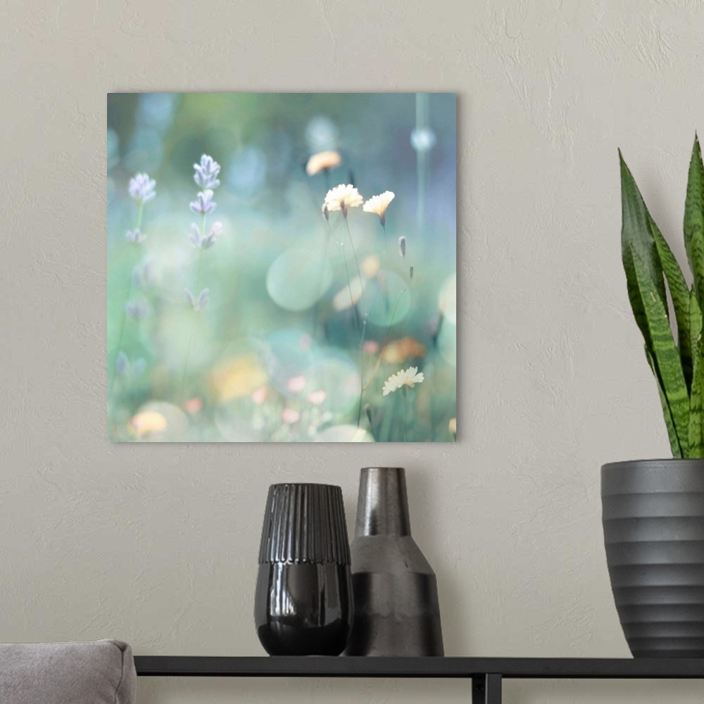 A modern room featuring Square photograph of wildflowers in pastel colors with a bokeh effect.