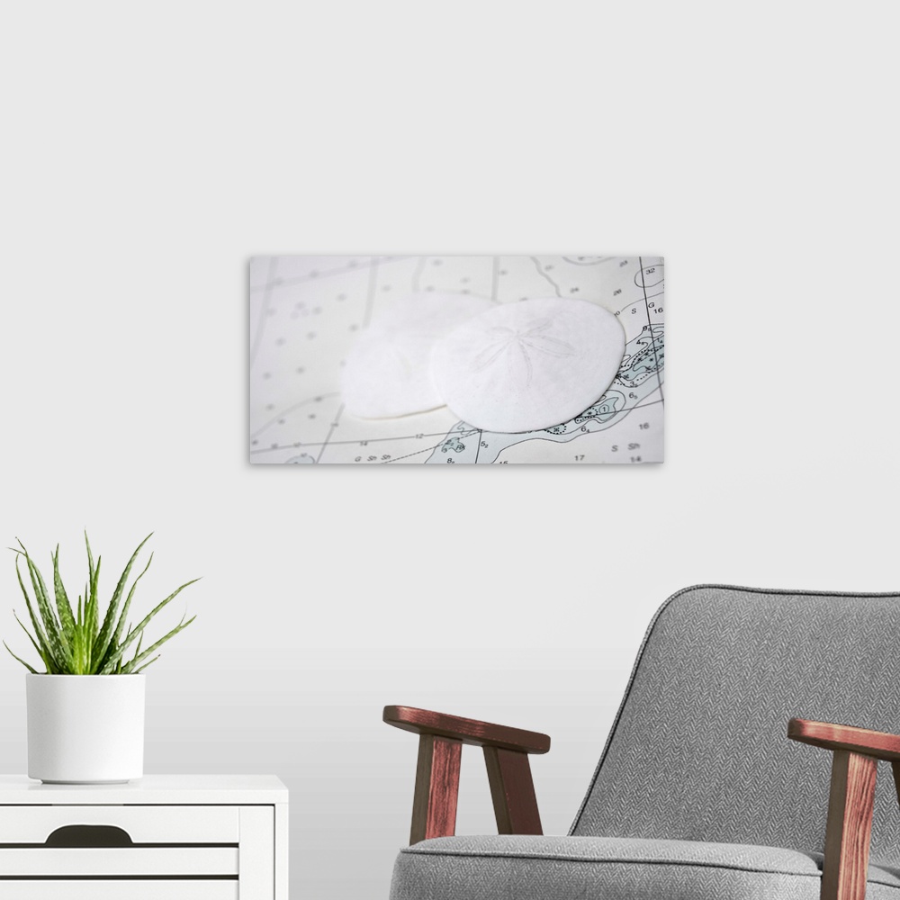 A modern room featuring Photograph of two sand dollars on top of a map.