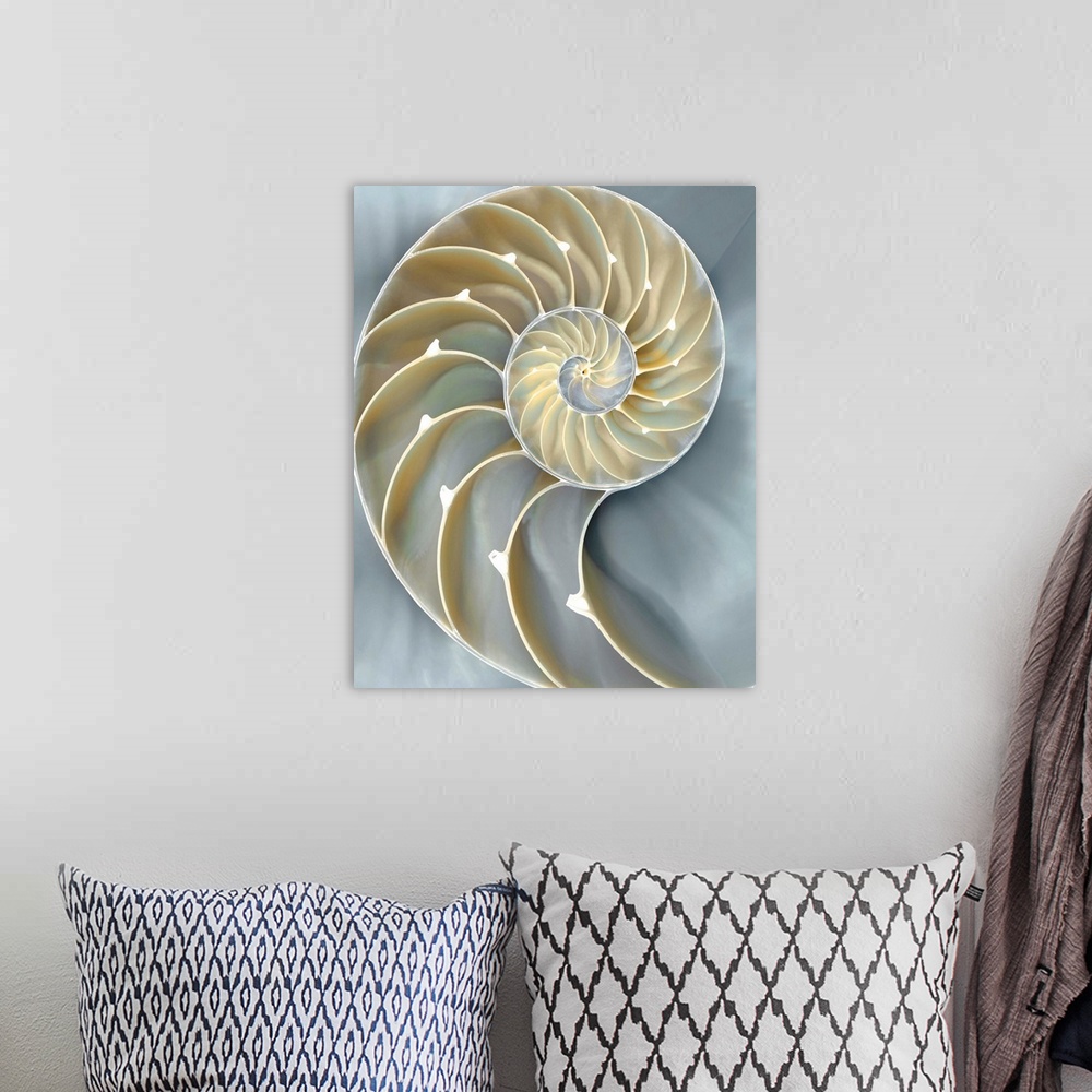 A bohemian room featuring Dreamy illustration of a nautilus shell in cream, tan, and blue hues.