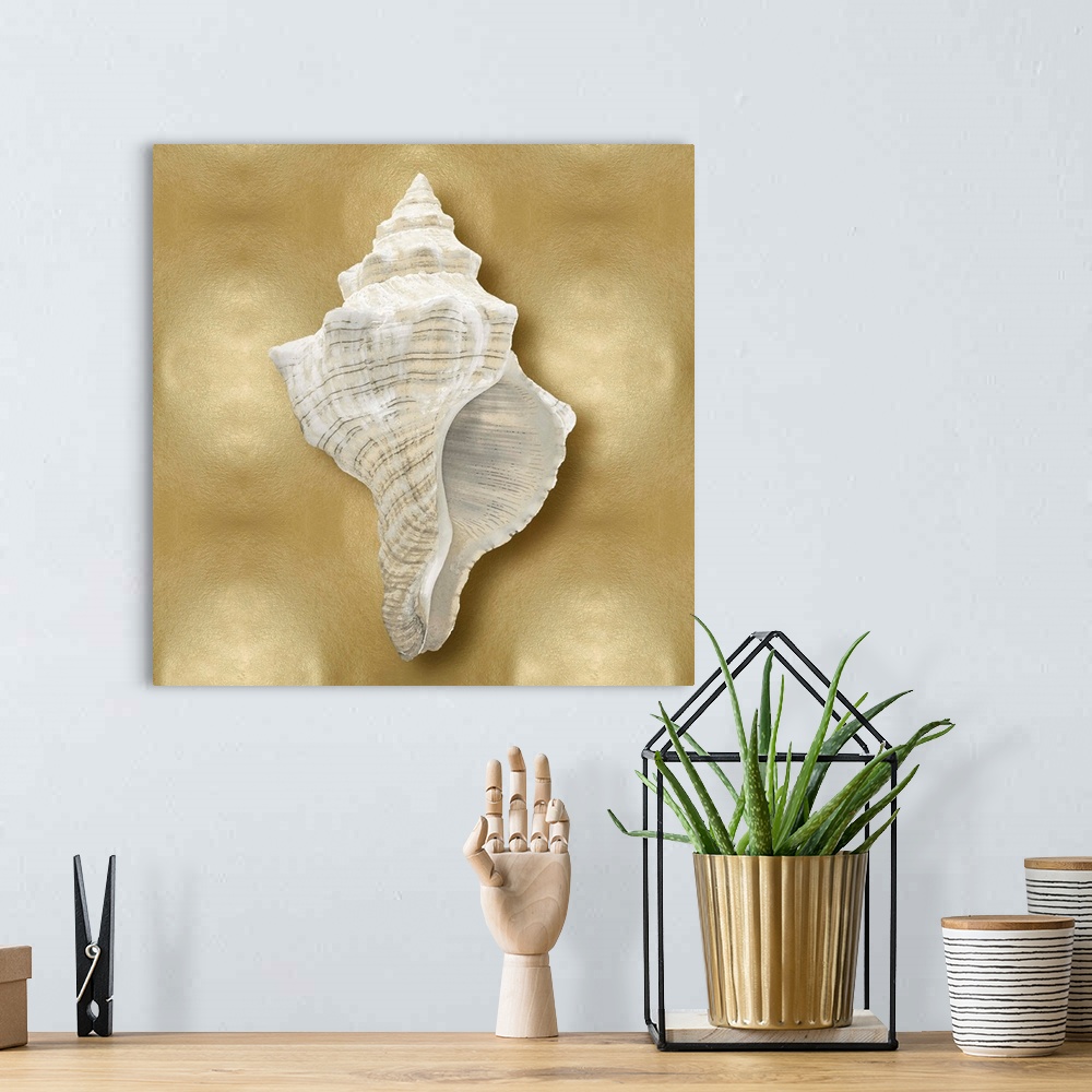 A bohemian room featuring Square beach decor with a conch shell on a gold background.