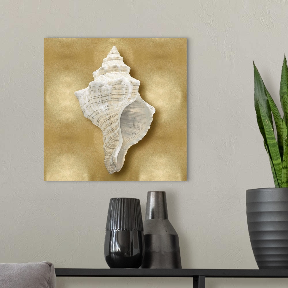 A modern room featuring Square beach decor with a conch shell on a gold background.