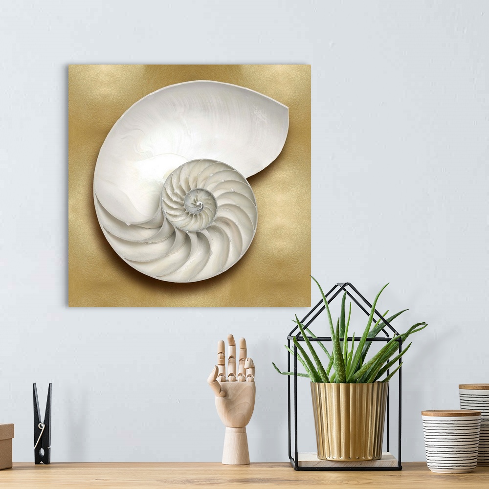 A bohemian room featuring Square beach decor with a nautilus shell on a gold background.