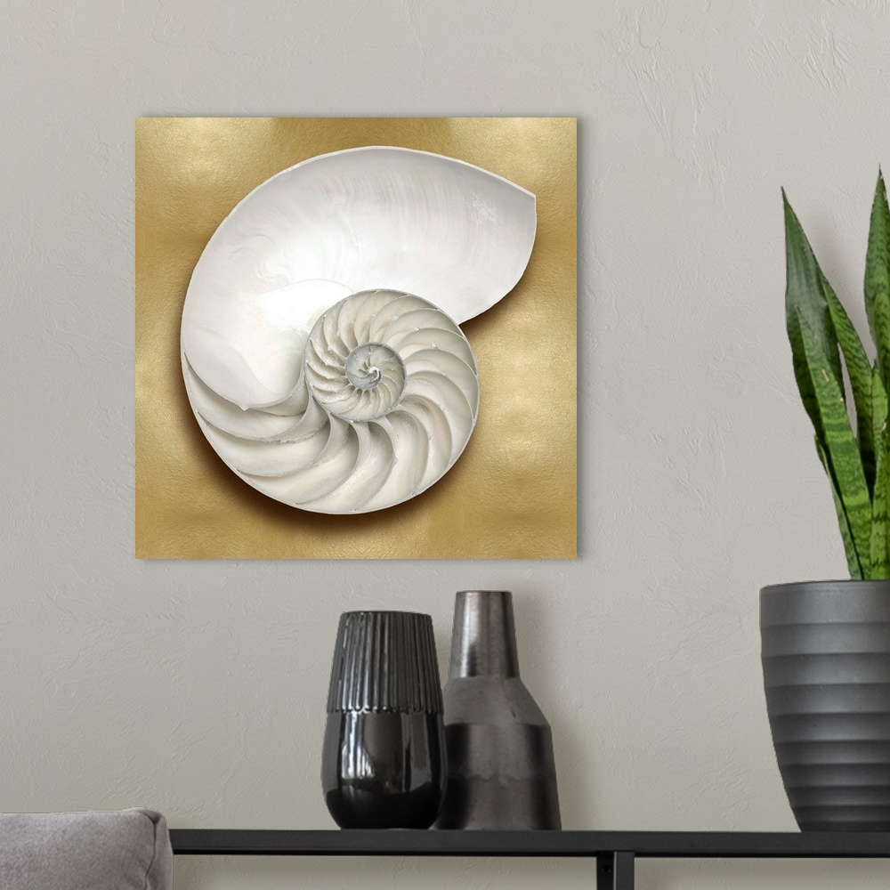 A modern room featuring Square beach decor with a nautilus shell on a gold background.