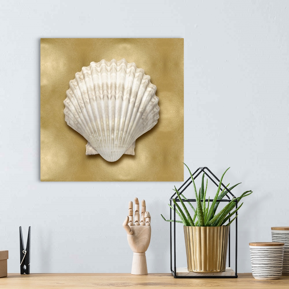 A bohemian room featuring Square beach decor with a seashell on a gold background.