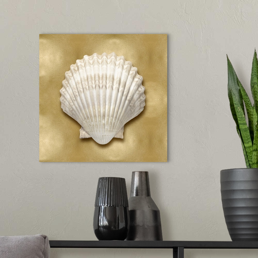 A modern room featuring Square beach decor with a seashell on a gold background.
