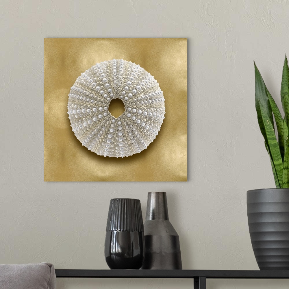 A modern room featuring Square beach decor with an urchin on a gold background.