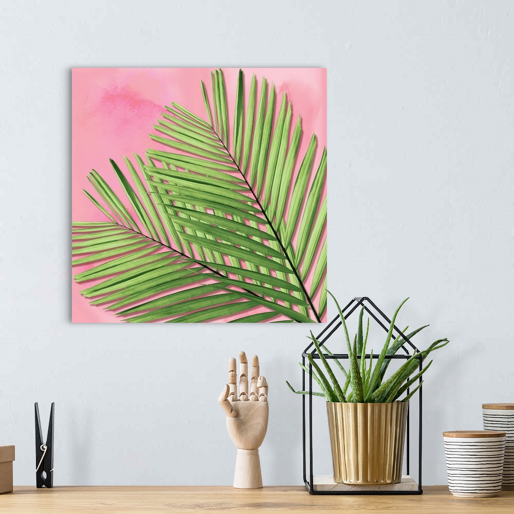 A bohemian room featuring Palm on Pink I