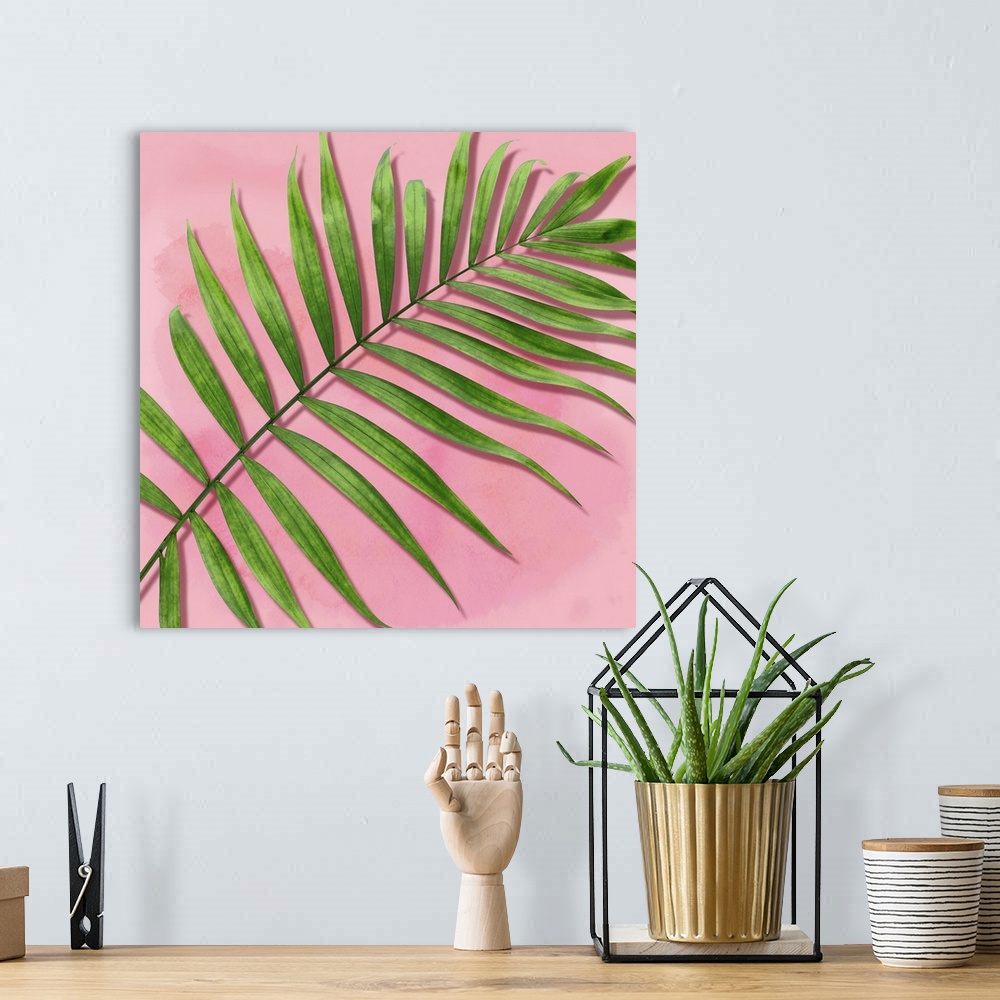 A bohemian room featuring Palm on Pink II