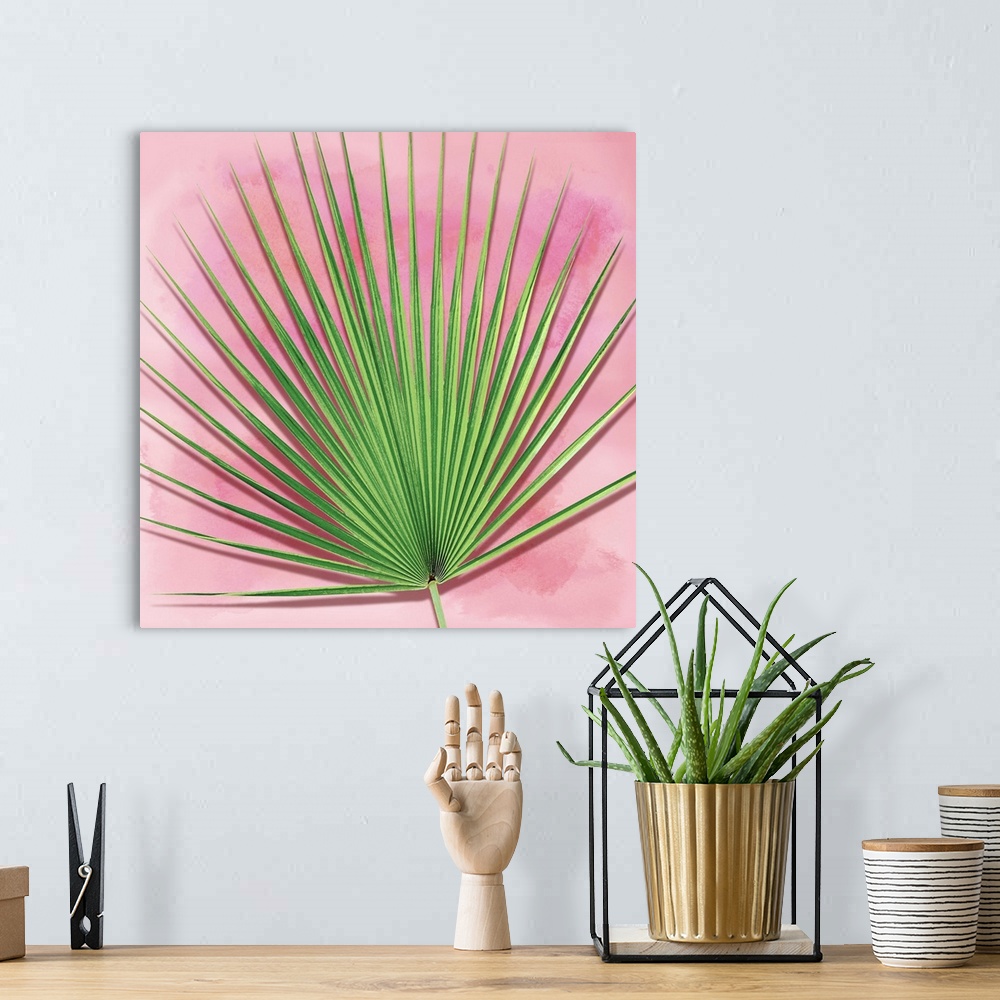 A bohemian room featuring Palm on Pink III