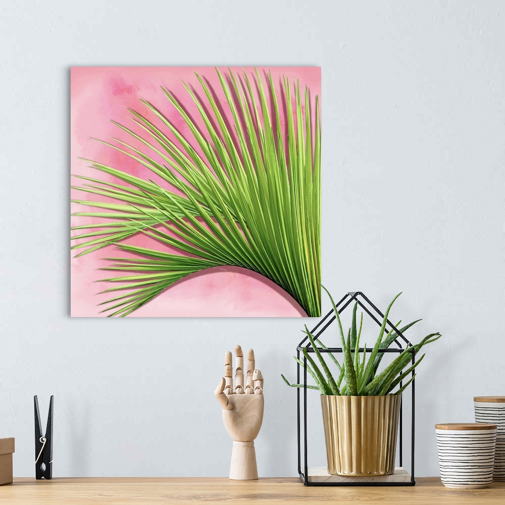 A bohemian room featuring Palm on Pink IV