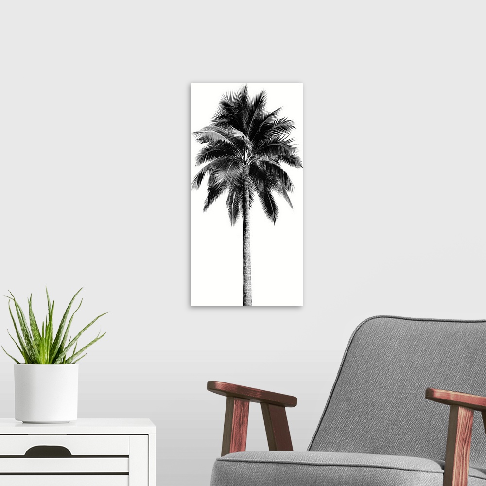 A modern room featuring Palm Tree I