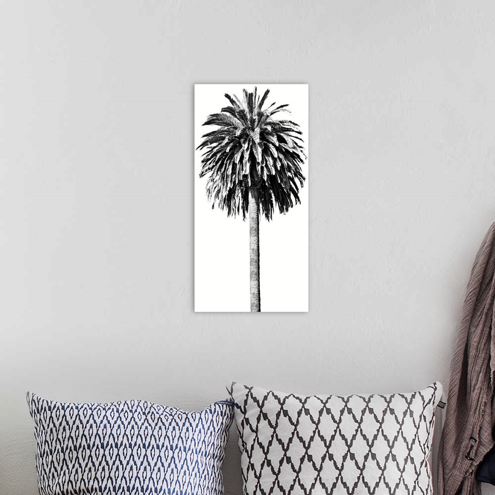 A bohemian room featuring Palm Tree II
