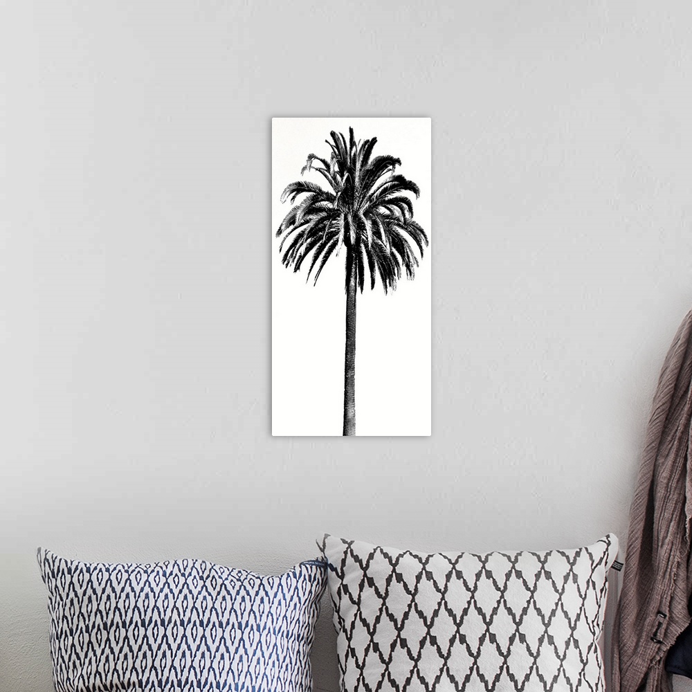 A bohemian room featuring Palm Tree III