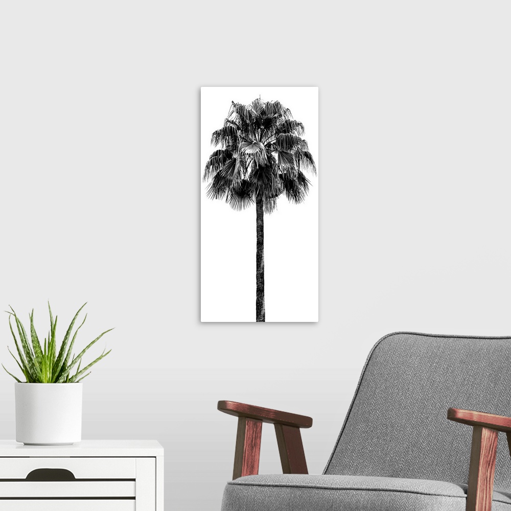 A modern room featuring Palm Tree IV