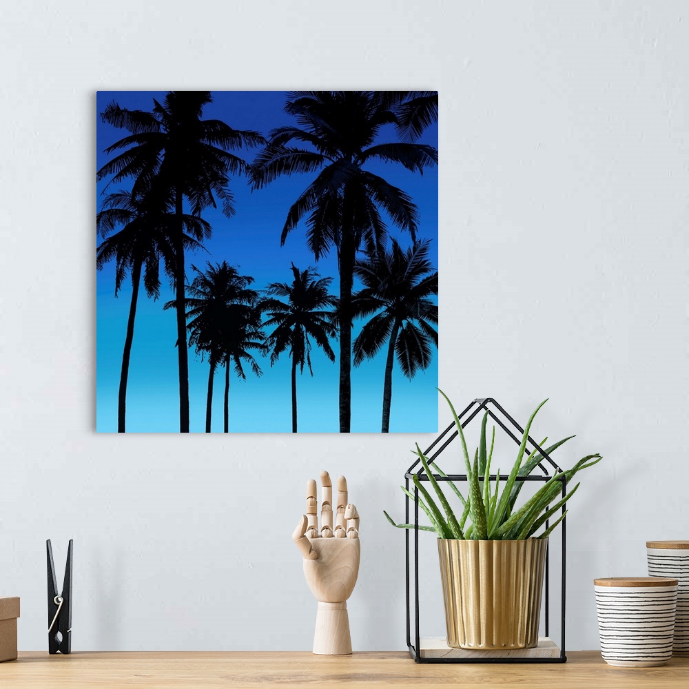 A bohemian room featuring Palms Black on Blue I
