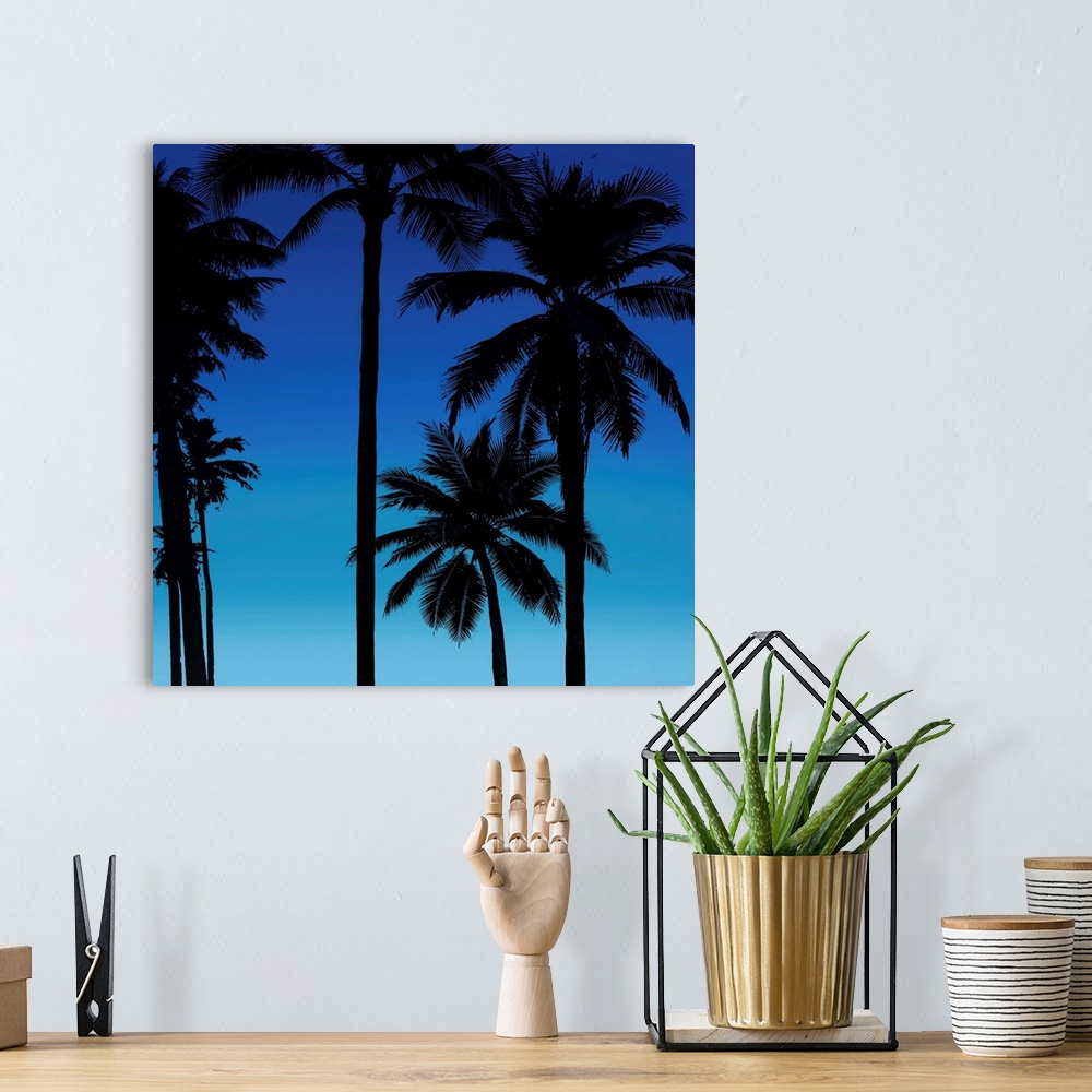 A bohemian room featuring Palms Black on Blue II