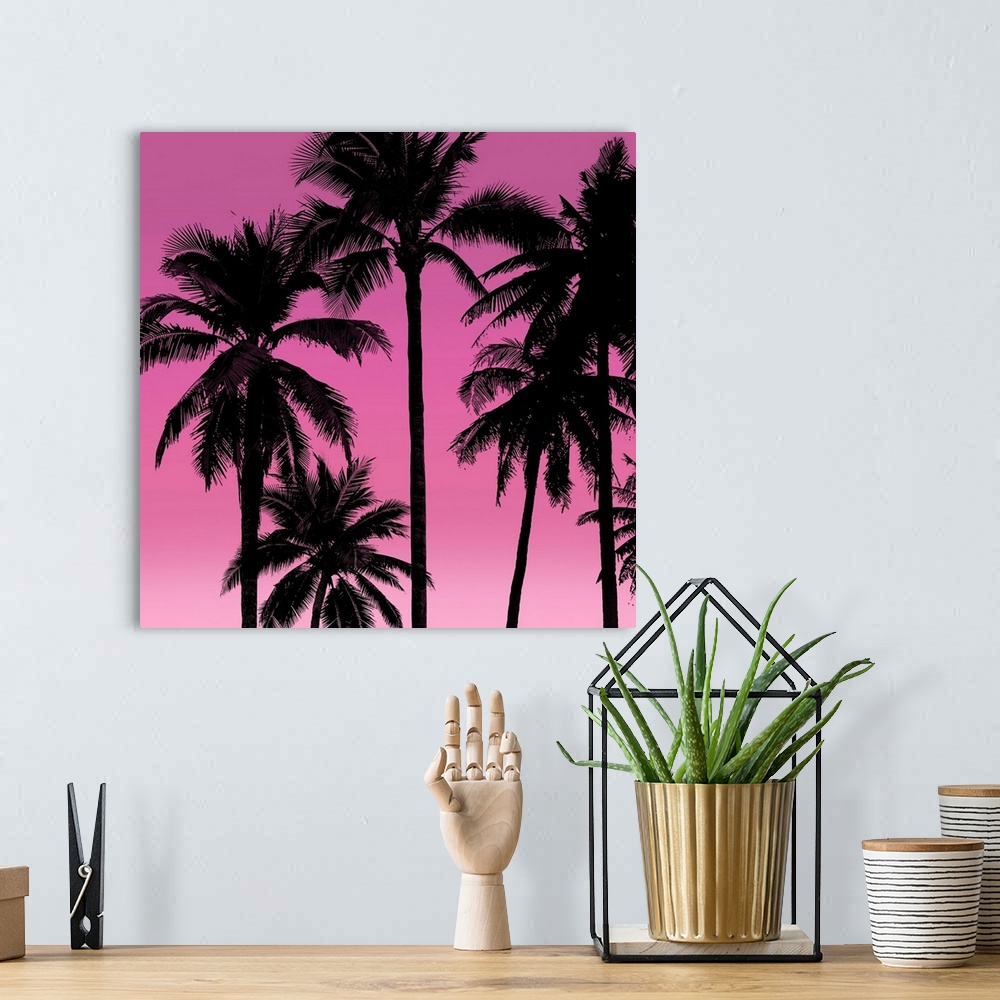 A bohemian room featuring Palms Black on Pink I