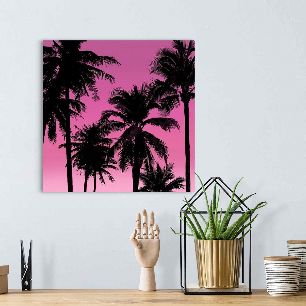 A bohemian room featuring Palms Black on Pink II