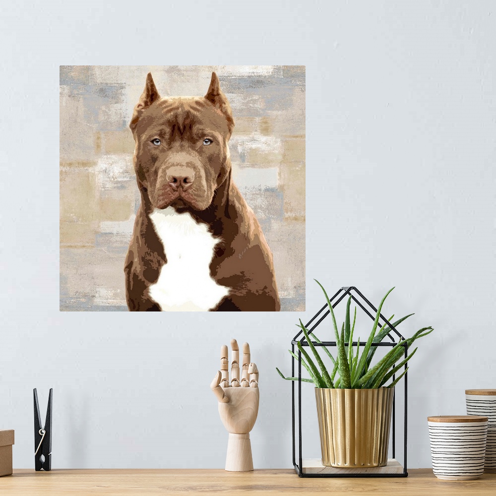 A bohemian room featuring Square decor with a portrait of a Pitbull on a layered gray, blue, and tan background.