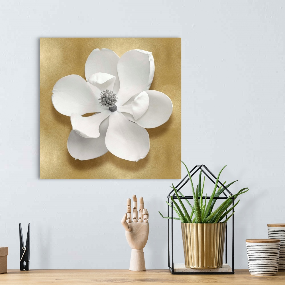 A bohemian room featuring Square decor with a white magnolia flower on a gold background.