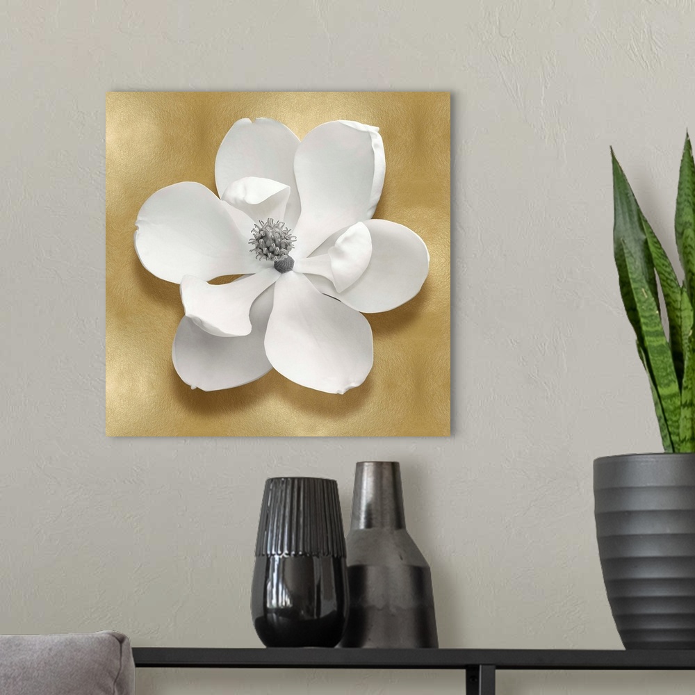 A modern room featuring Square decor with a white magnolia flower on a gold background.