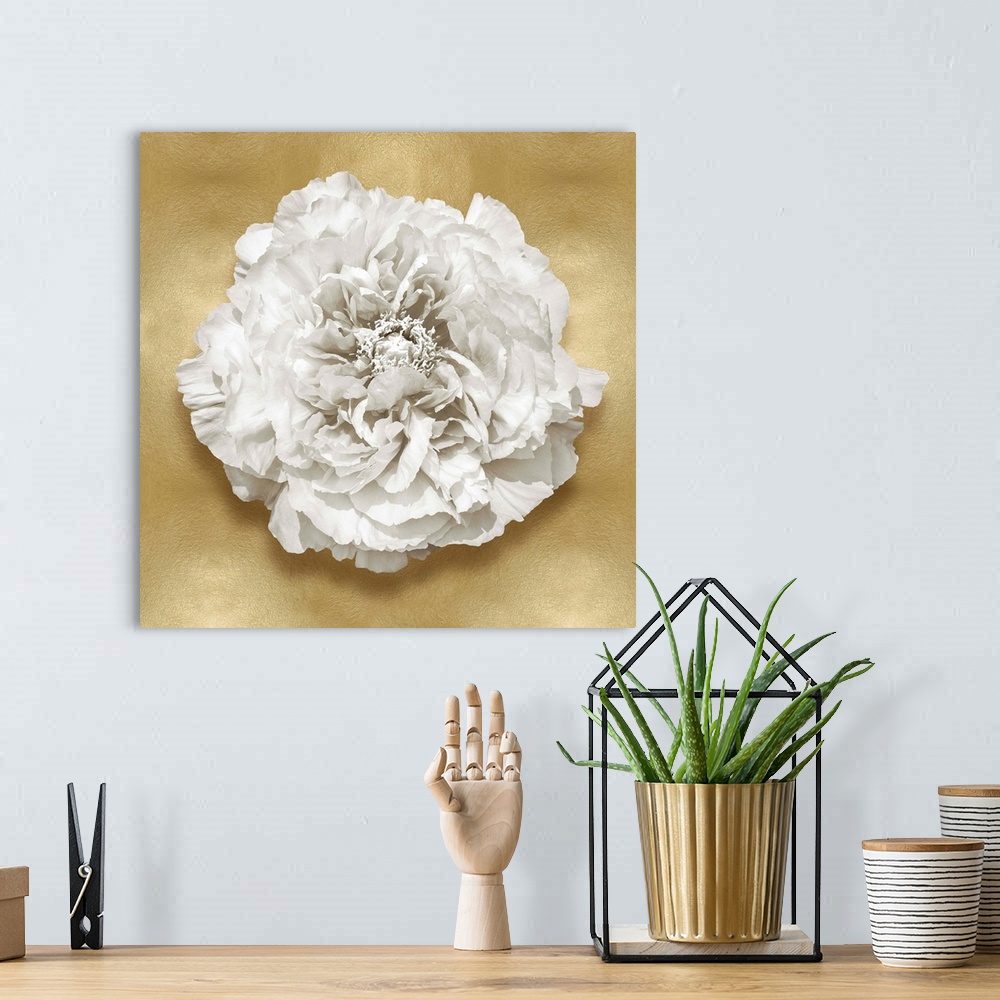 A bohemian room featuring Square decor with a white flower on a gold background.