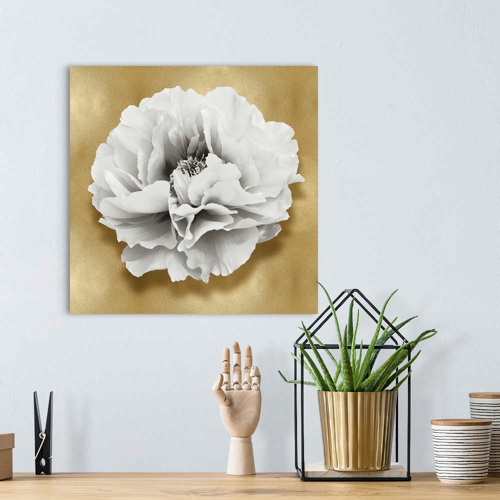 A bohemian room featuring Square decor with a white carnation flower on a gold background.