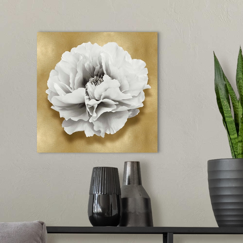 A modern room featuring Square decor with a white carnation flower on a gold background.