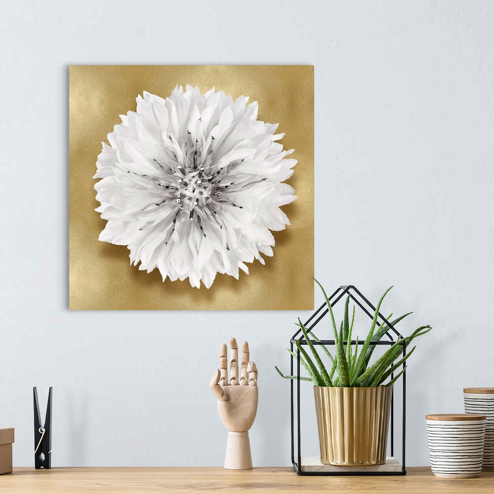 A bohemian room featuring Square decor with a white flower on a gold background.