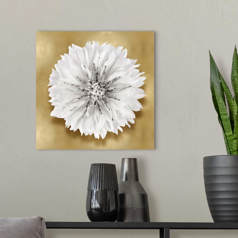 A modern room featuring Square decor with a white flower on a gold background.
