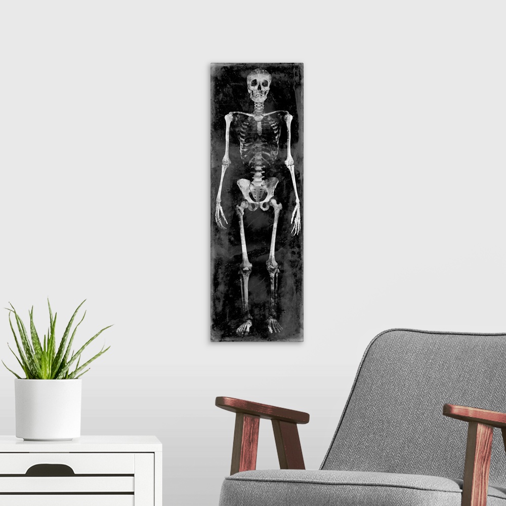 A modern room featuring Tall panel illustration of a skeleton in black and white.