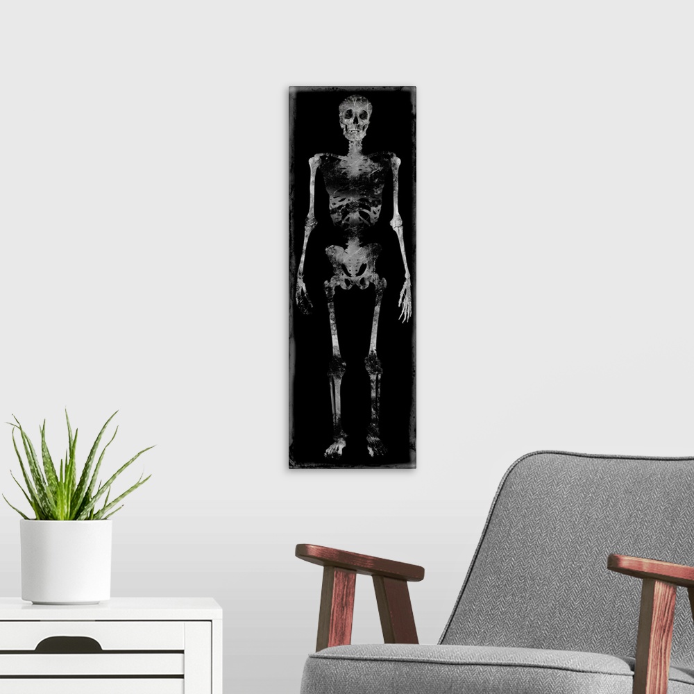 A modern room featuring Tall panel illustration of a skeleton in black and white.