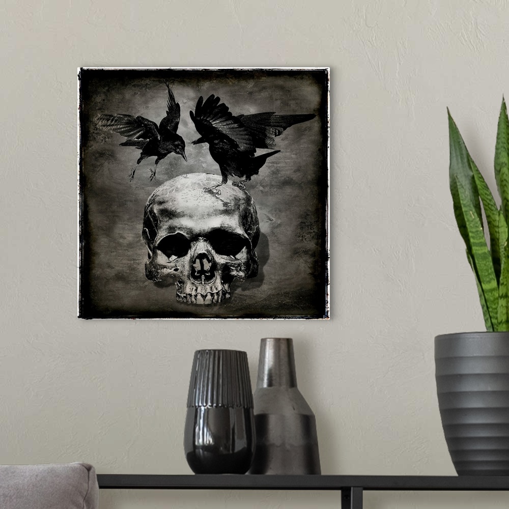 A modern room featuring Square Halloween decor with two crows landing on a skull.