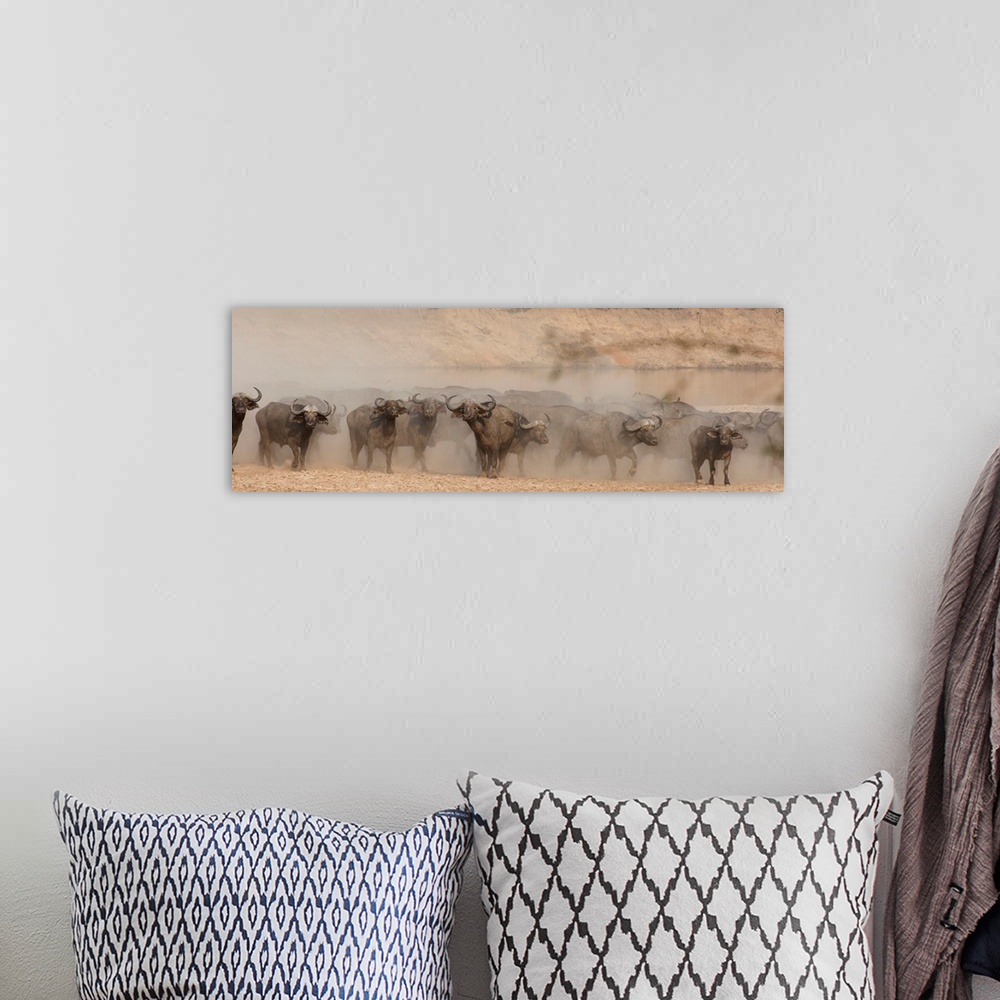 A bohemian room featuring Panoramic photograph of herding buffalo surrounded by dust.