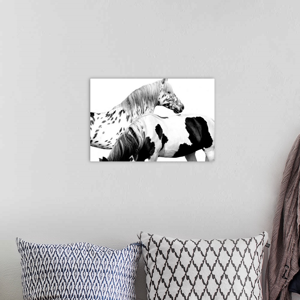 A bohemian room featuring Black and white image of two spotted horses on a white background.