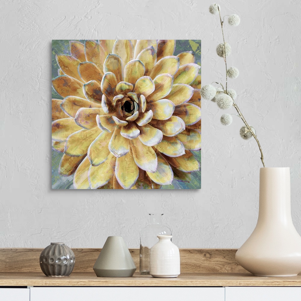 A farmhouse room featuring Square illustration of a succulent plant on a textured background.