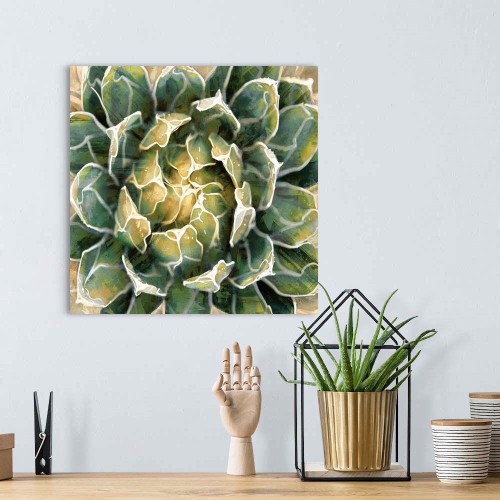 A bohemian room featuring Square illustration of a succulent plant on a textured background.