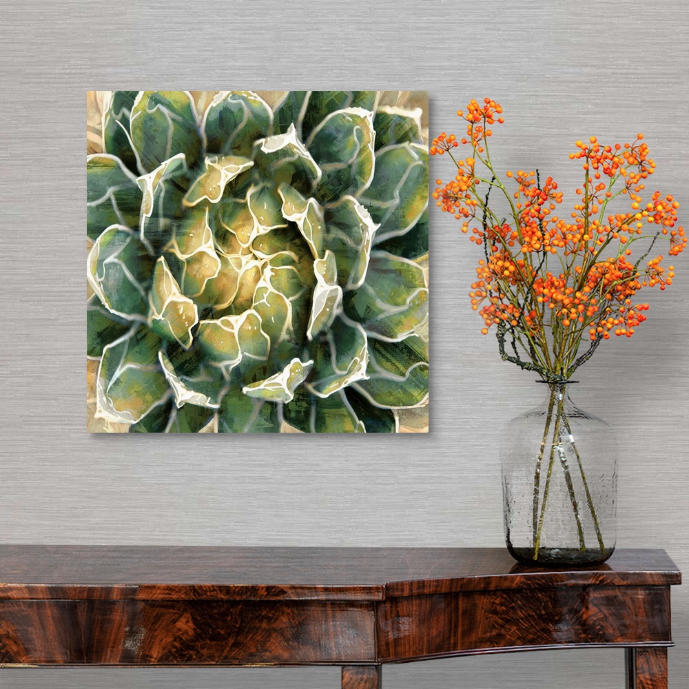 A traditional room featuring Square illustration of a succulent plant on a textured background.