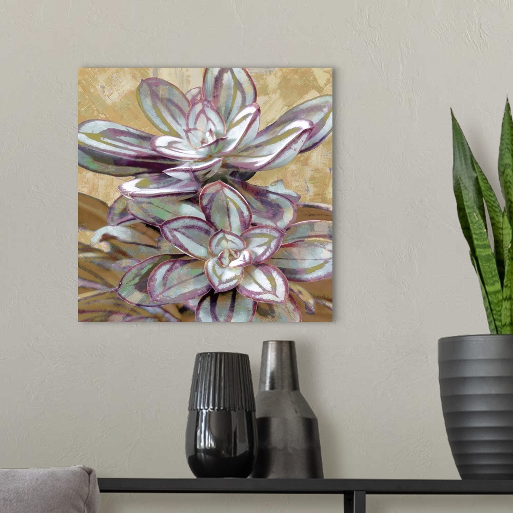 A modern room featuring Square illustration of a succulent plant on a textured background.