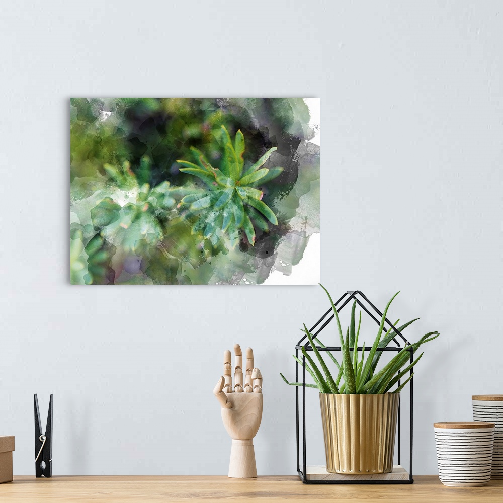 A bohemian room featuring Succulent Leaves