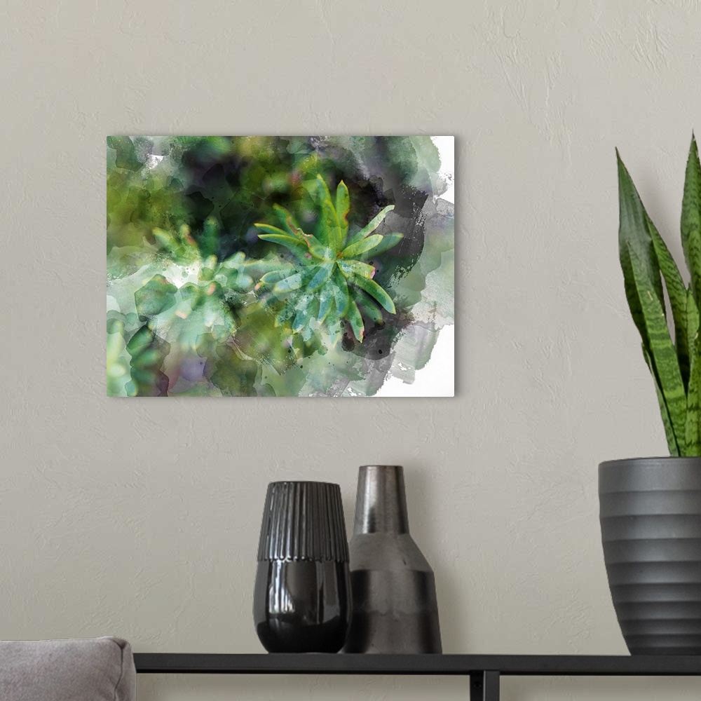 A modern room featuring Succulent Leaves