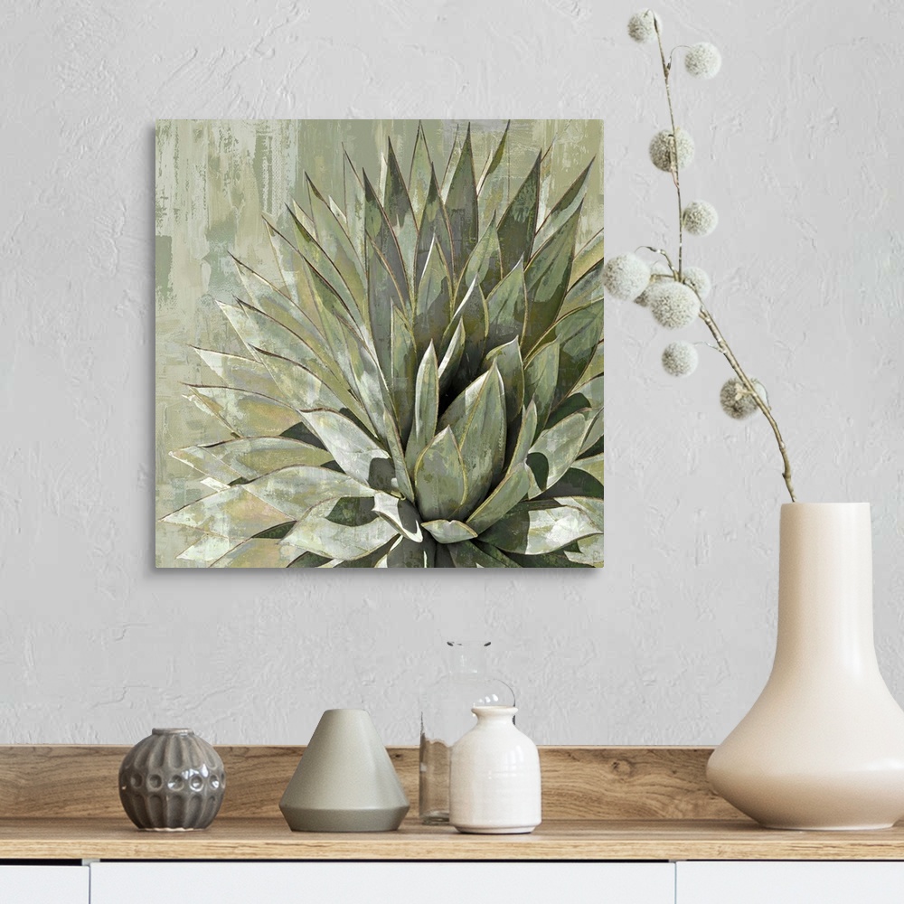 A farmhouse room featuring Square illustration of a succulent plant on a textured background.
