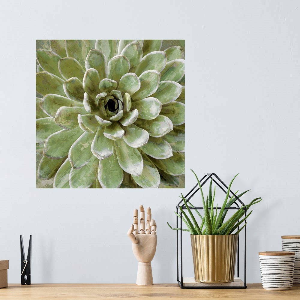 A bohemian room featuring Square illustration of a succulent plant on a textured background.
