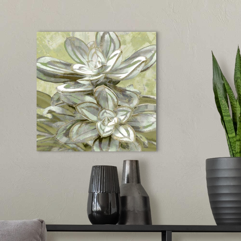 A modern room featuring Square illustration of a succulent plant on a textured background.