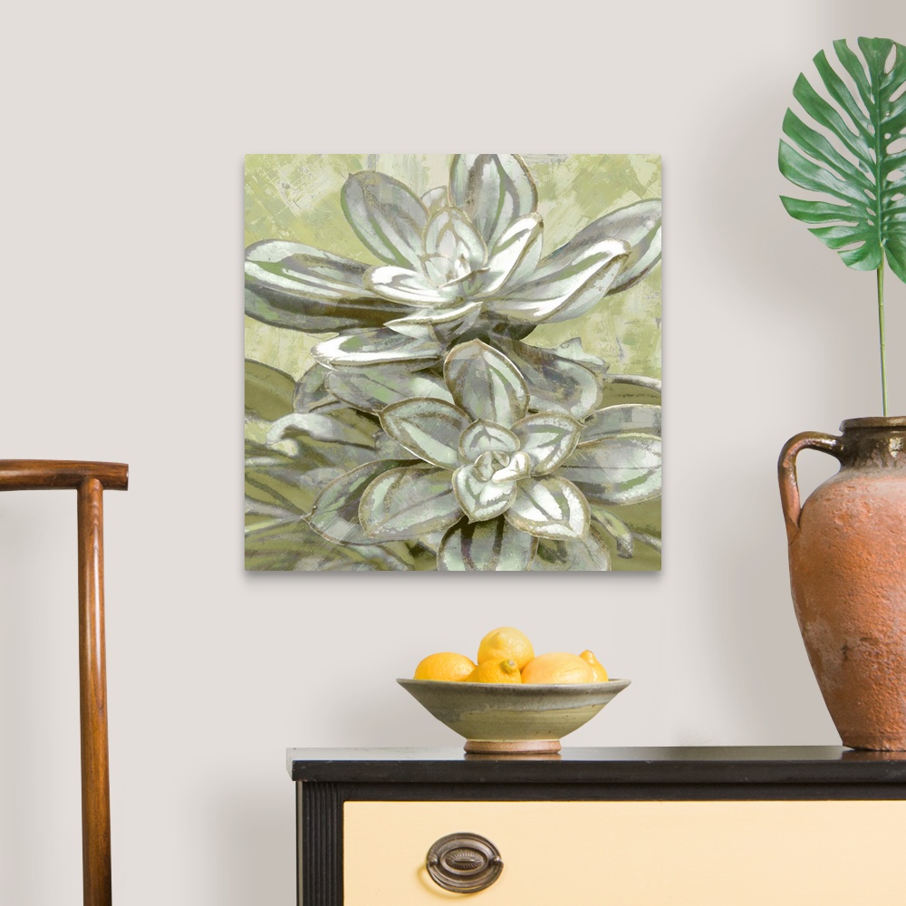 A traditional room featuring Square illustration of a succulent plant on a textured background.