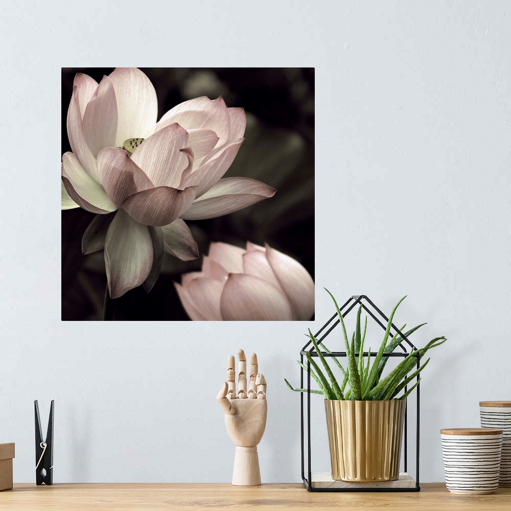 A bohemian room featuring Square photograph of two lotus flowers in muted pink, green, and white hues.