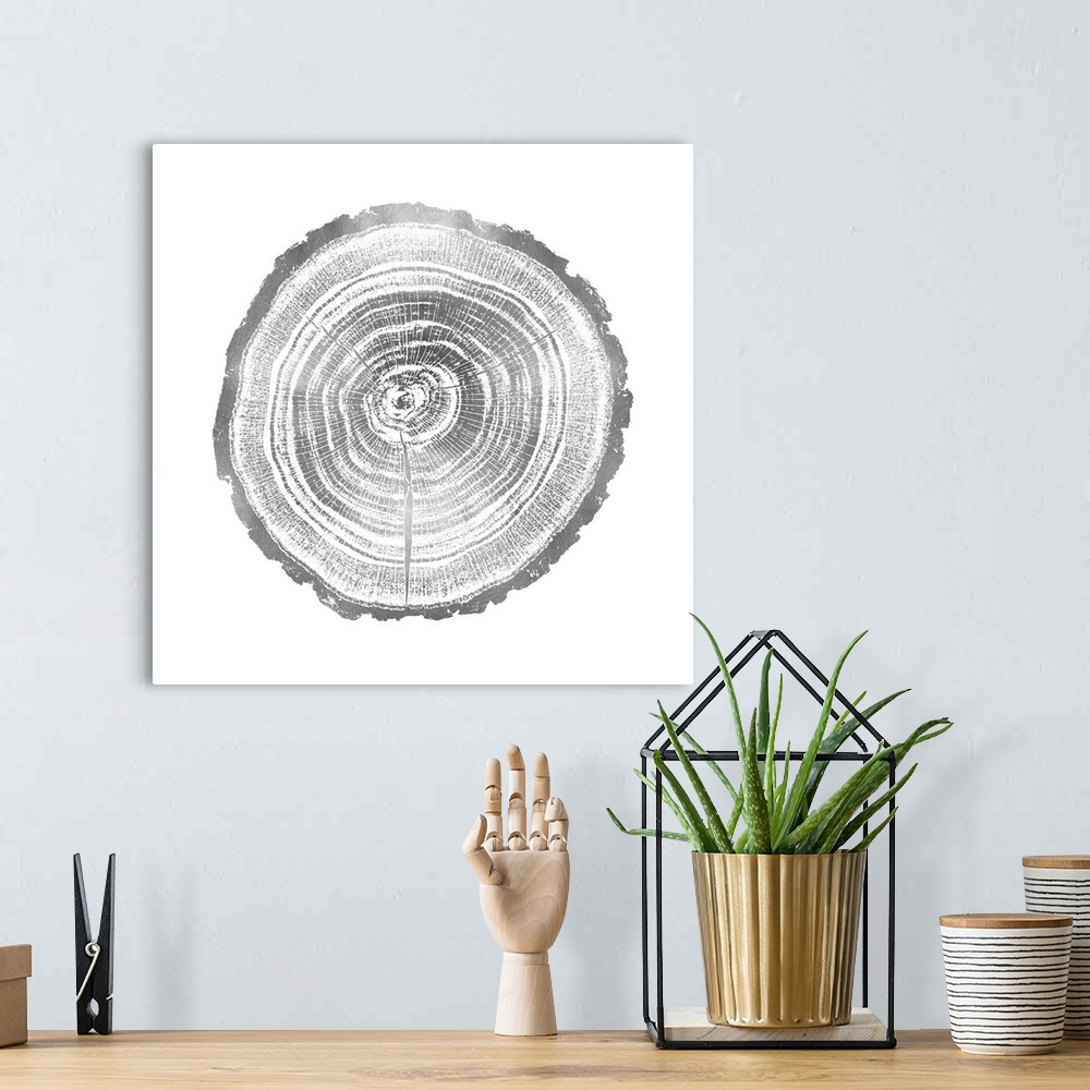 A bohemian room featuring Square decor with tree stump rings in silver and white.