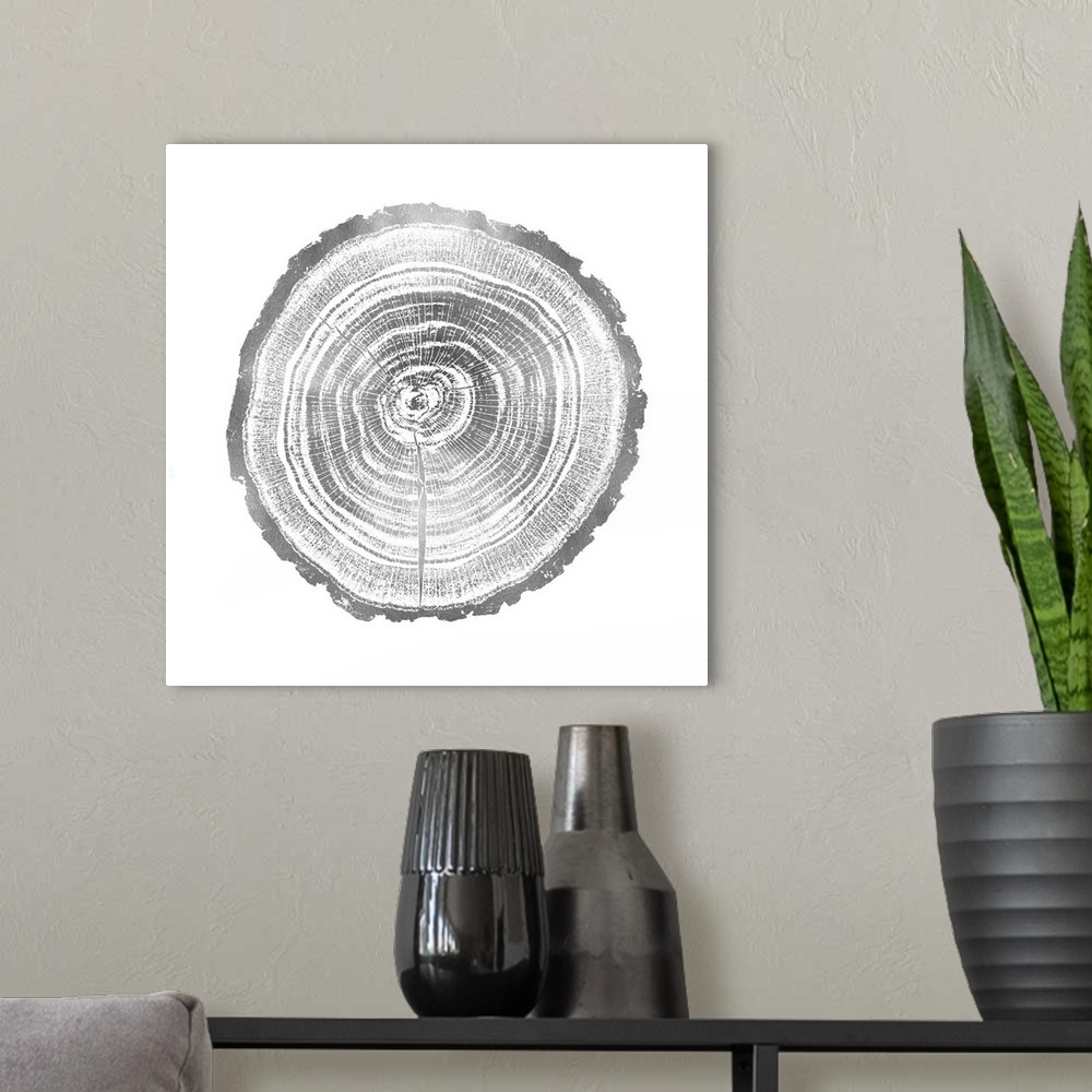 A modern room featuring Square decor with tree stump rings in silver and white.